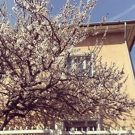 Penzion Kis Gellert
